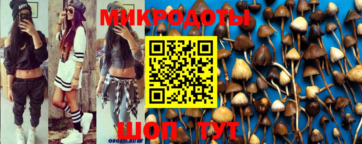 Псилоцибиновые грибы прущие грибы Сунжа