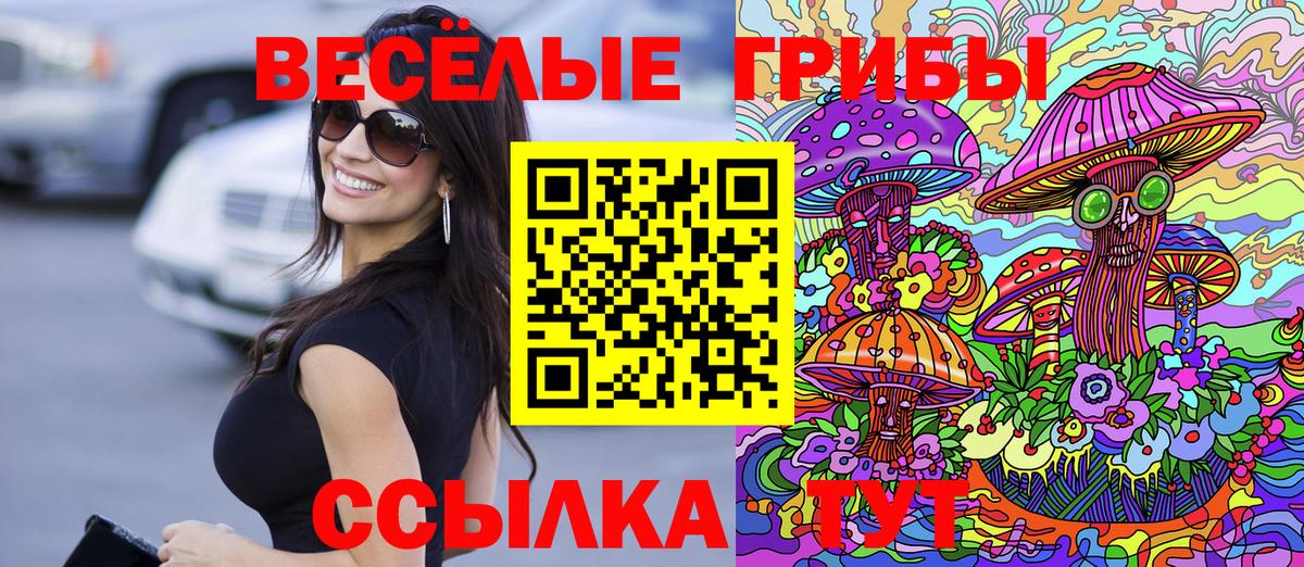 Сунжа  Галлюциногенные грибы ЛСД  даркнет сайт  Вход с VPN 