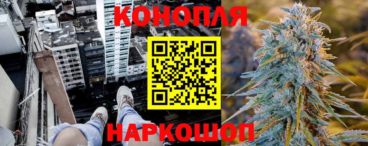 Шишки марихуана LSD WEED  Шишки марихуана планчик  Вход с VPN  Конопля конопля  Сунжа 